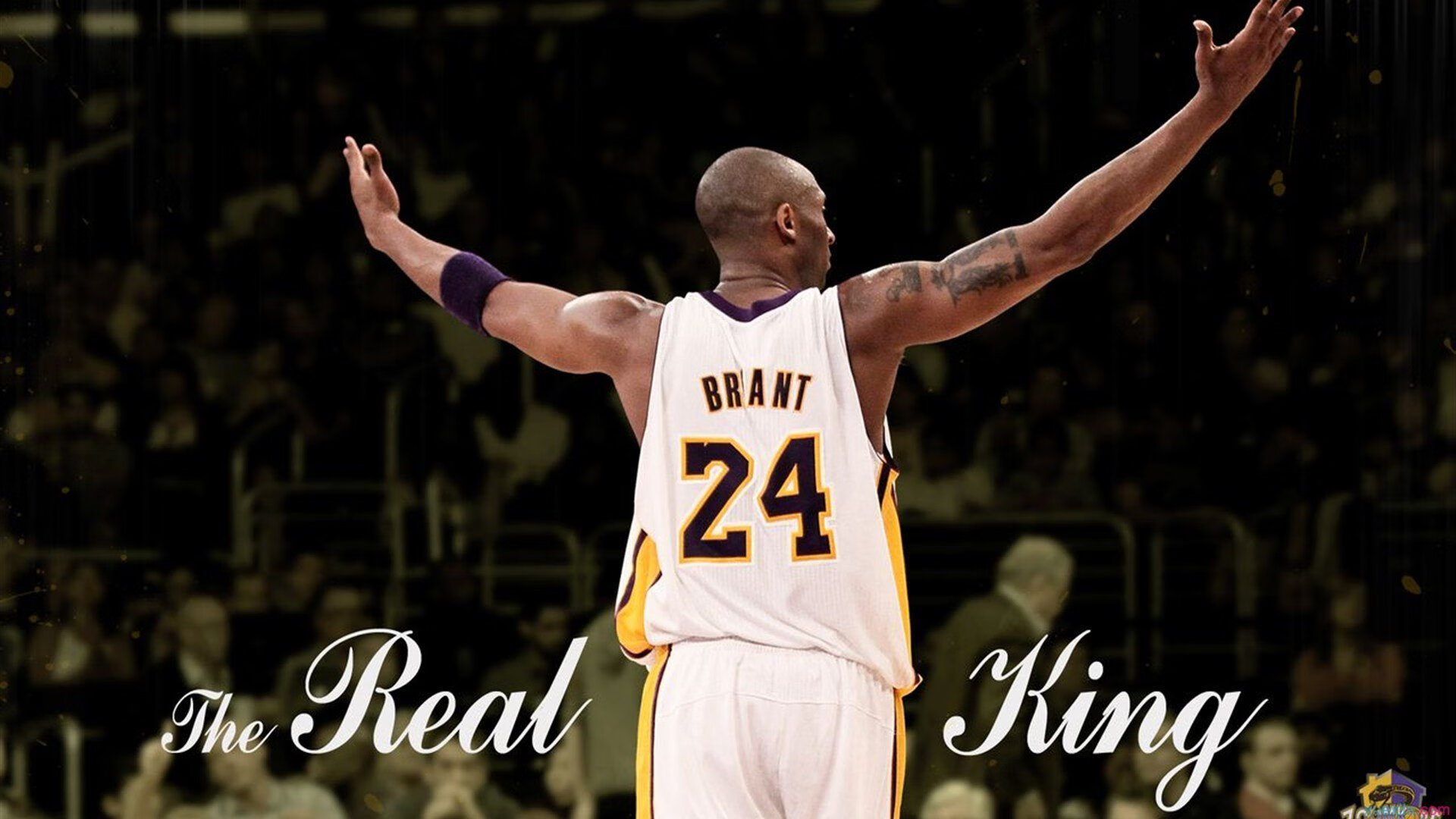 冰与火之歌，灰熊绝杀火箭，郭艾伦高光闪耀